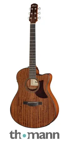 Ibanez AAM54CE-OPN B-Stock