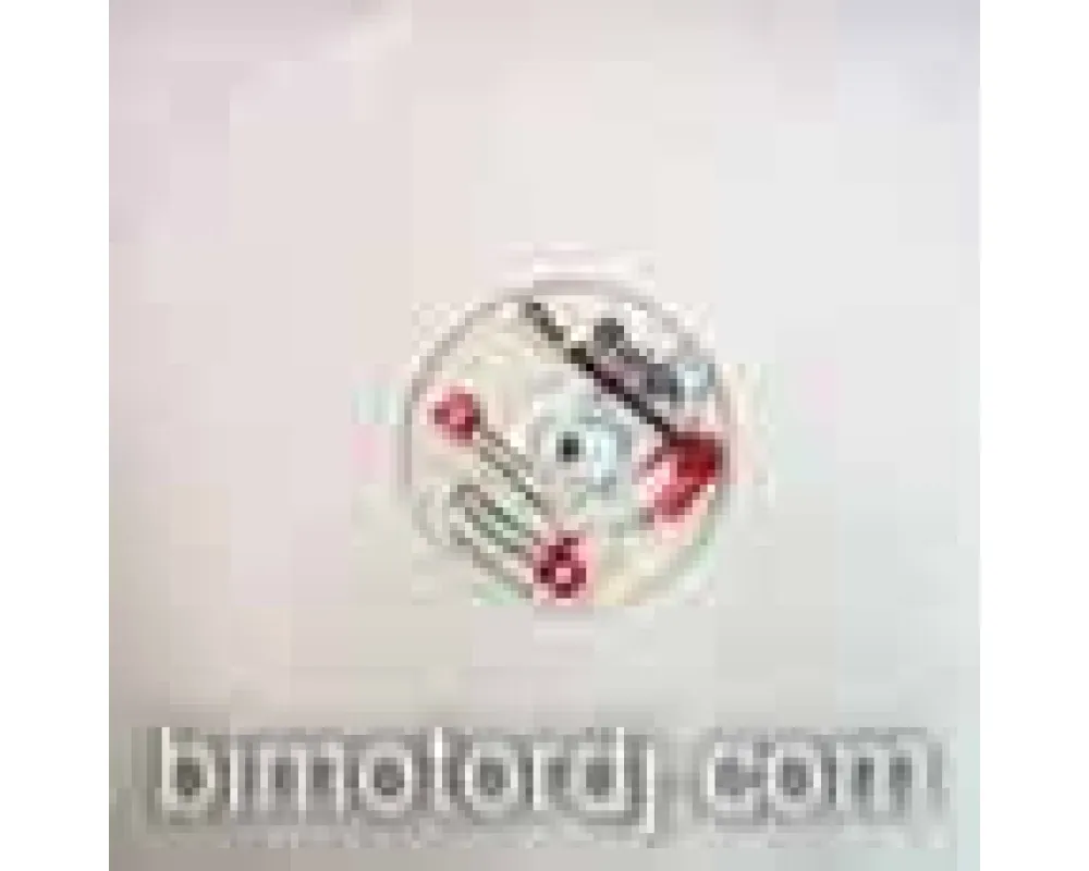 buick pres. the alchamist - watch out for knomes (skylark)