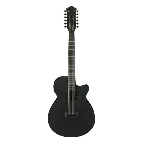 Ibanez AEG1221 BOT