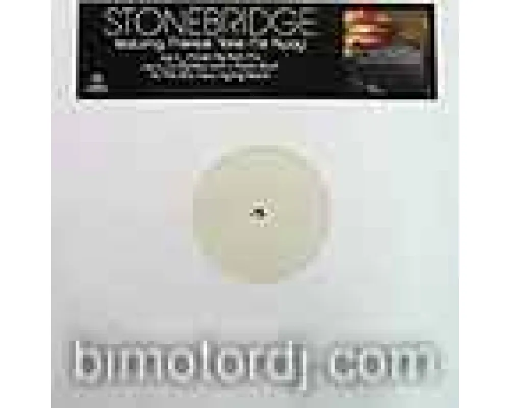 stonebridge ft therese - take me away (dj bomba & j paolo)