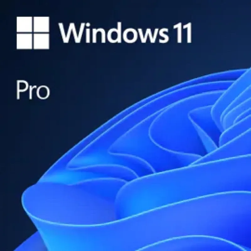 WINDOWS 11 PRO ALL ESD