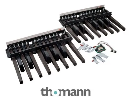 Doepfer MBP25 Electronic with 2 Pedal
