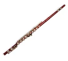 Flauta Transversal Taylor Collins FL-538 Vermelha