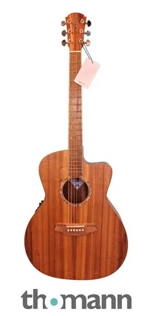 Cole Clark SAN1EC-BLBL B-Stock