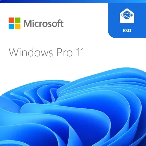 ESD Windows 11 Pro 64bit FQC-10572