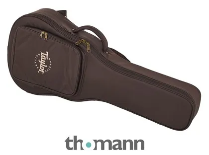 Taylor Aero Case GS Mini