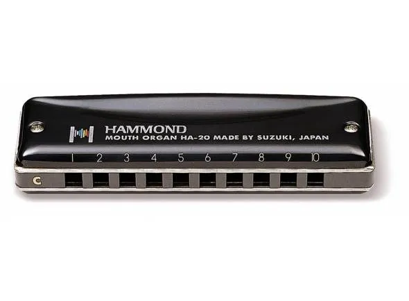 Suzuki Hammond HA-20G