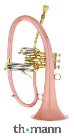 Taylor Trumpets Phat Boy