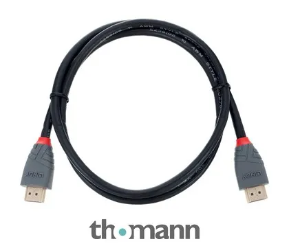 Lindy HDMI 2.0 Typ A 1m