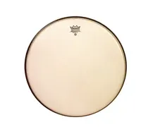 REMO RA-0010-SS Ambassador Rena 10"