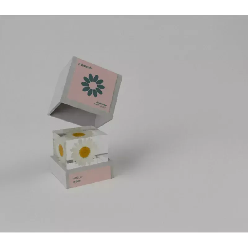 Momento - Pisa papéis FlowerCube (margarida)