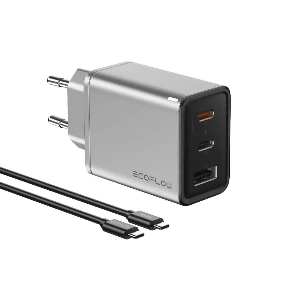 Carregador EcoFlow RAPID Charger 65W GaN