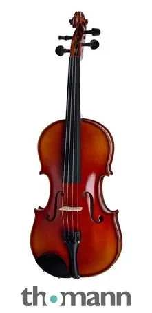 Roth & Junius RJV-A Antiqued Violin Set 4/4