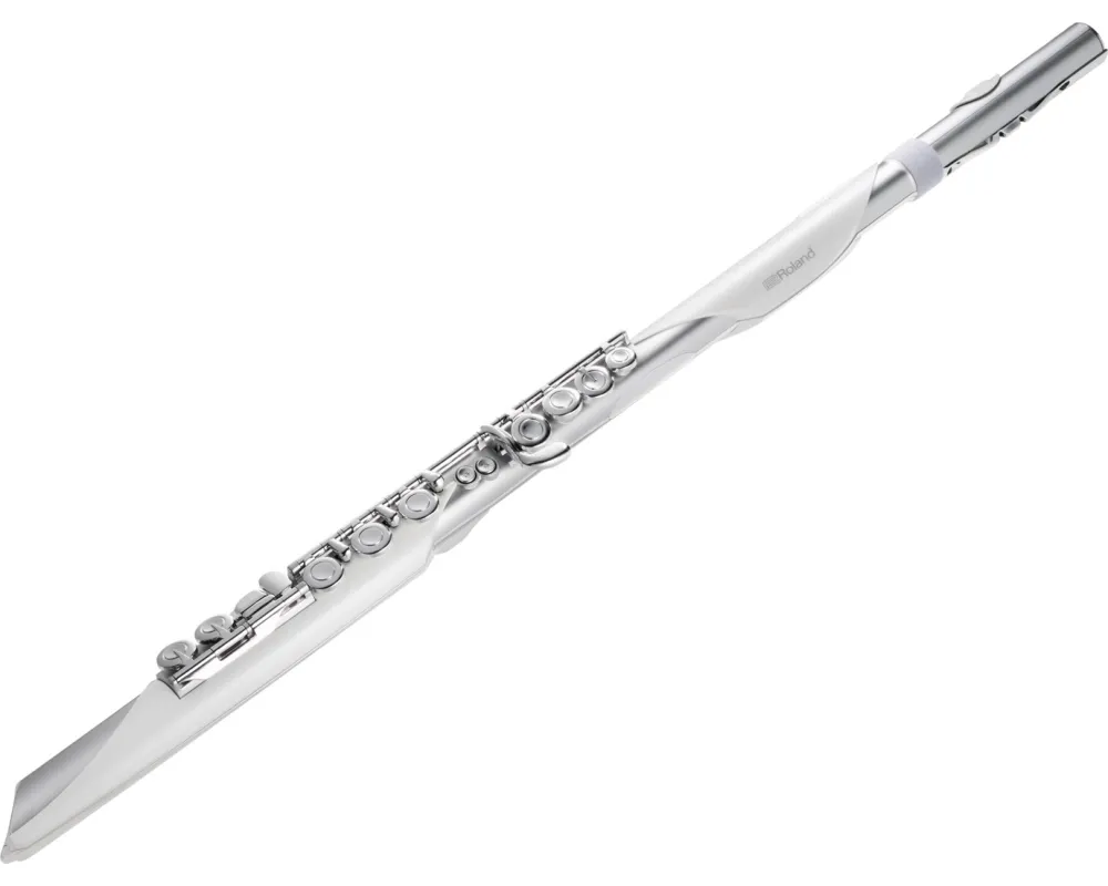 Roland Aerophone AE-Brisa