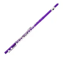 Flauta Transversal Taylor Collins FL-538 Lilás