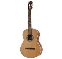 Paco Castillo 201 III Fishman 4/4