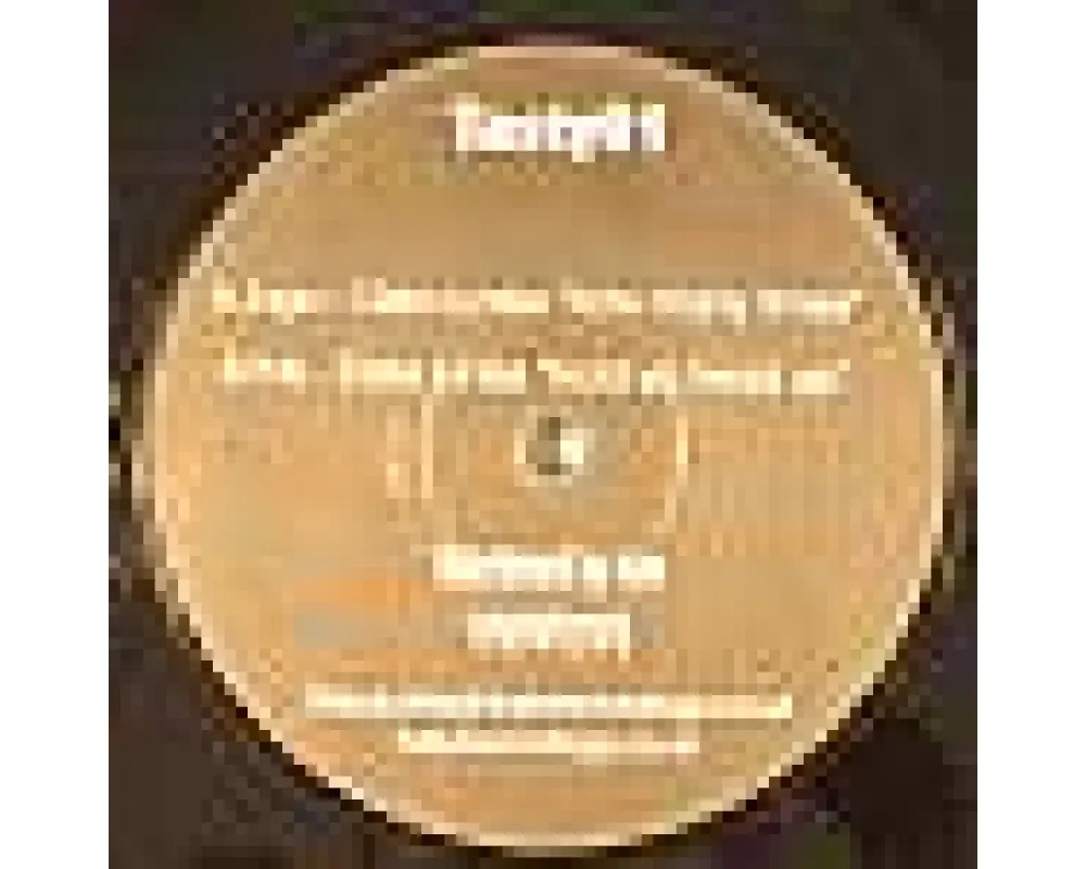 Disco Junkie - How Many Times - Hold Ya Head Up