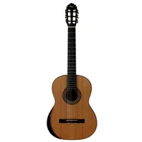 Manuel Rodriguez Superior Series Exótica Canadian Cedar Top