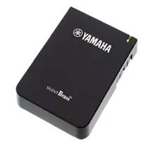 Pocket Studio Yamaha STX-2 Silent Brass