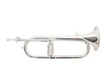 Clarim Honsuy Cornet longo Prateado