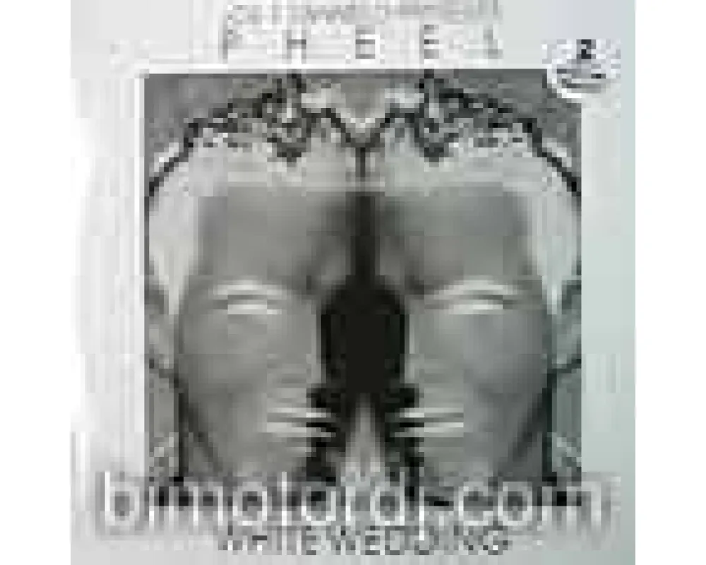 joe t. vannelli pres. - pheel white wedding