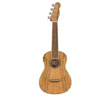 Ukulele Concerto Fender Zuma Exotic Natural Spalted Maple