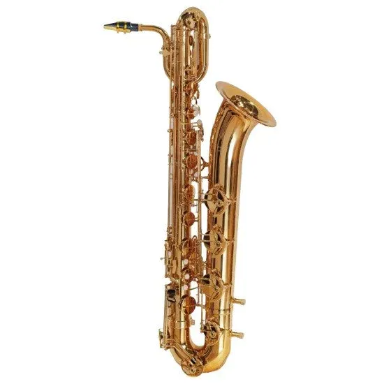 Amadeus BS810