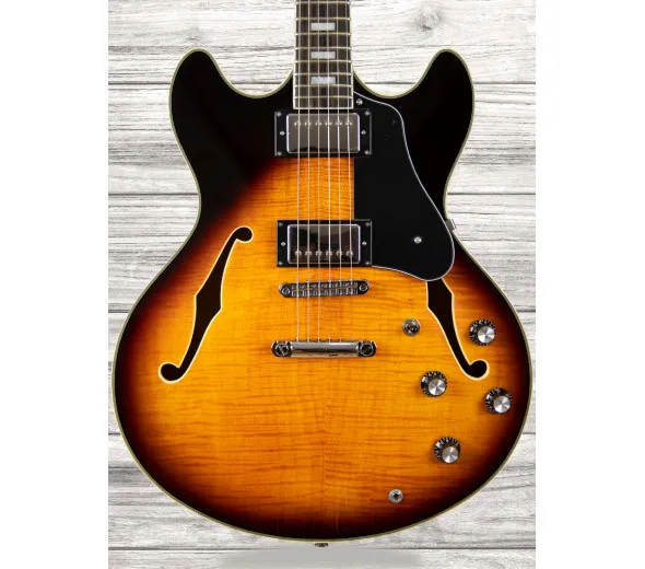 Sire LARRY CARLTON H7 VS