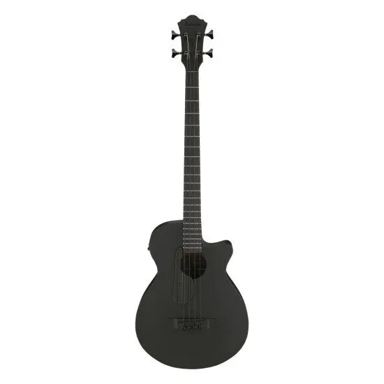 Ibanez AEGB420 BOT