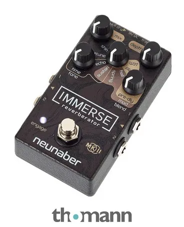 Neunaber Immerse Reverberator Mk II