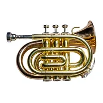 Trompete Taylor Collins TCPTR-36 Pocket Lacada