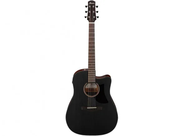 Ibanez AAD190CE-WKH