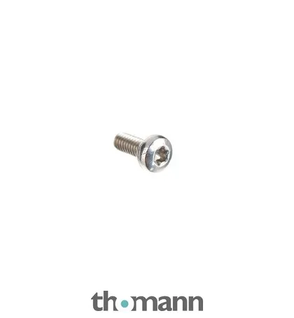 B&S Strike Iron Screw M2,5 x 6