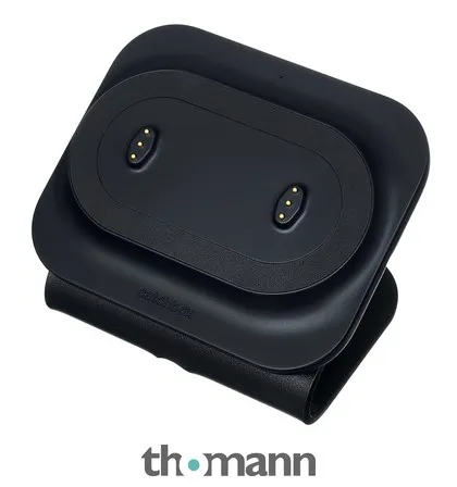 Catchbox Plus Duo Dock Charger