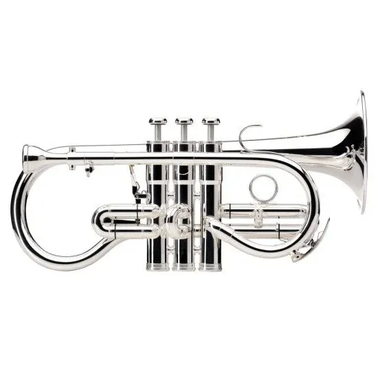 Besson Sovereign BE924G 2 0 Silver Plated