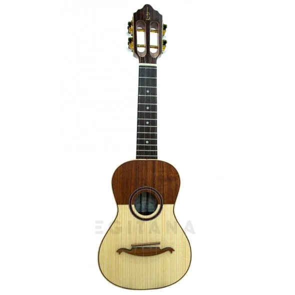 APC CAV Luthier