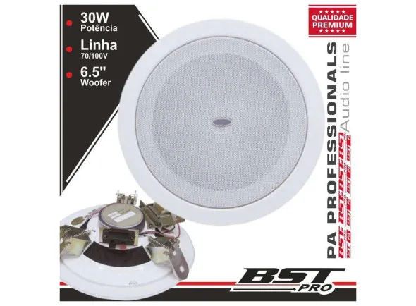 BST Coluna De Tecto Pa 100v 6.5 30w máx Branca