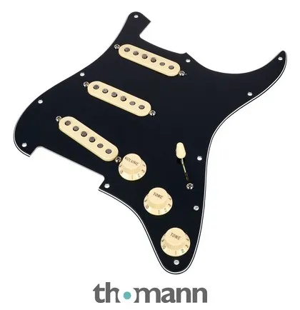 Fender Pre-Wired ST Pickguard 69 BK