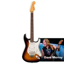 Fender Dave Murray Stratocaster RW 2-Color Sunburst
