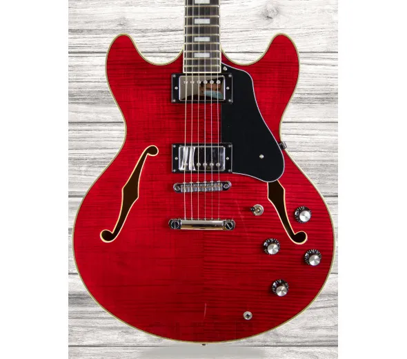 Sire LARRY CARLTON H7 STR