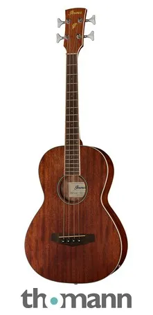 Ibanez PNB14E-OPN Acoustic Bass