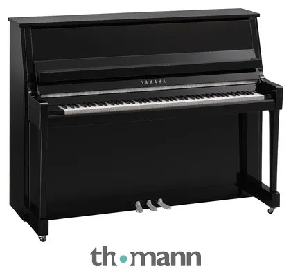 Yamaha B20 PEC