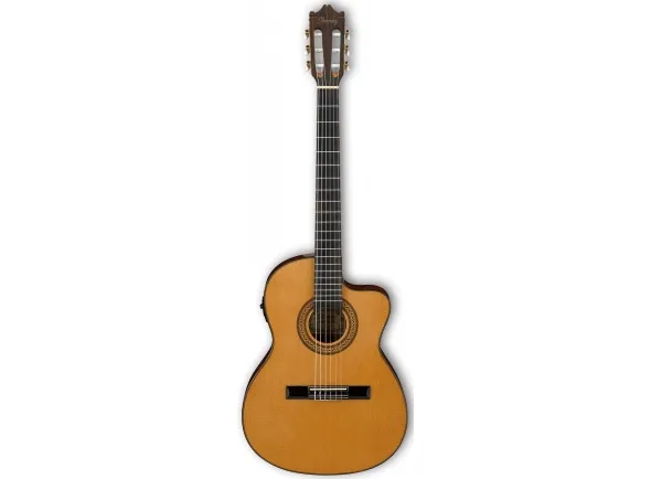 Ibanez GA5TCE-AM B-Stock