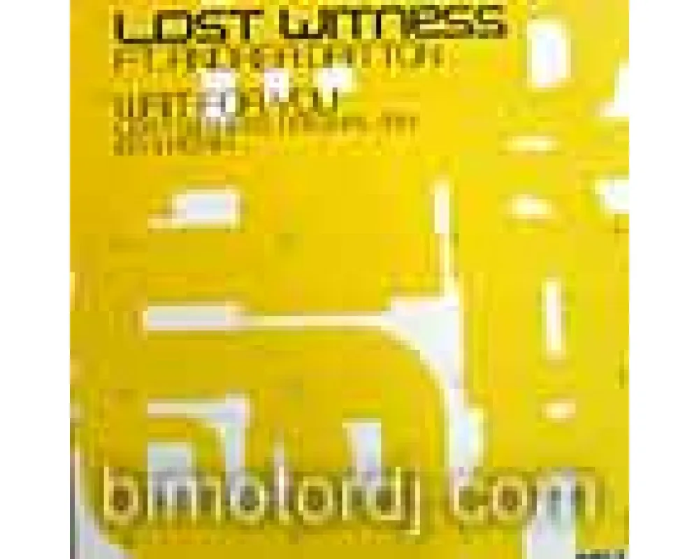 lost witness - wait for you