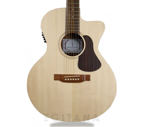APC EA 100 CW