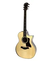 Taylor Custom 814ce Limited Edition Natural
