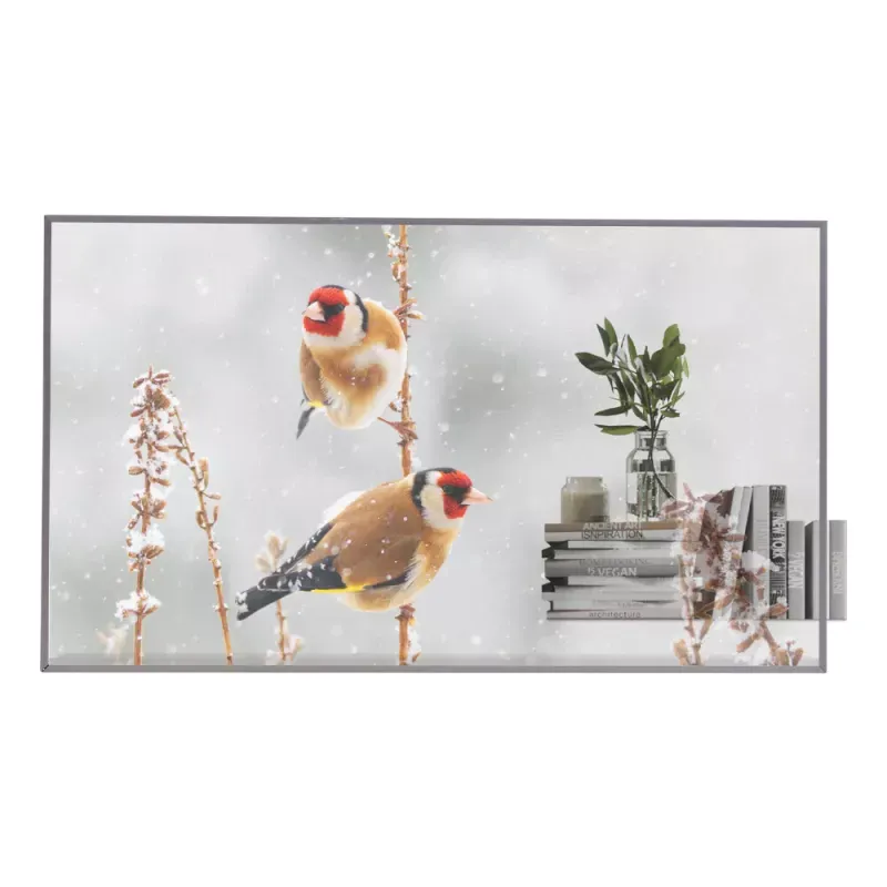 LG MONITOR OLED PROFISSIONAL 55" FHD 18/7 TRANSPARENTE 55EW5P-M