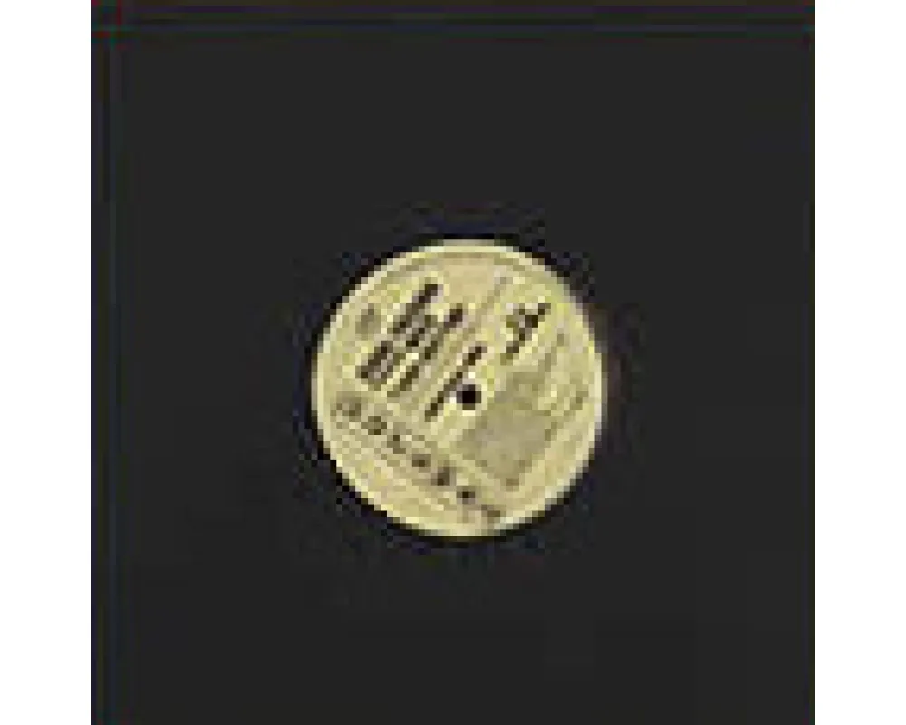 soul fuzion w/ vee - i got rhythm