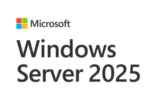 Microsoft Windows Server CAL 2022 1 Client User Portuguese DSP