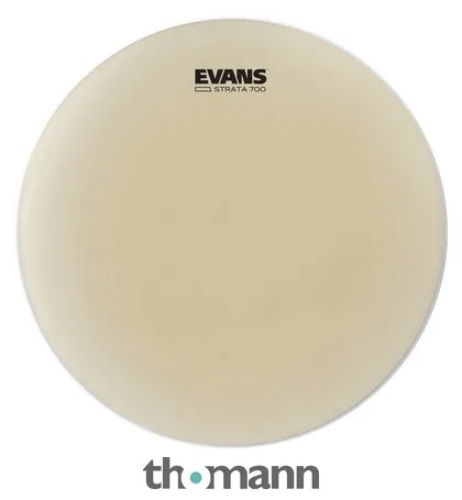 Evans 14" Strata 700